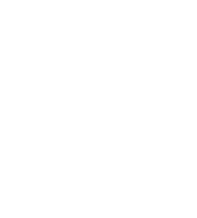 C Network Icon
